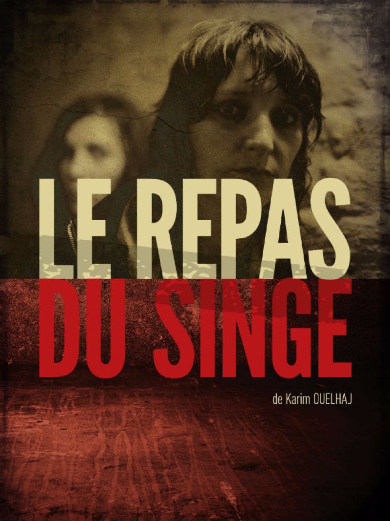 Couverture du film Le Repas du singe