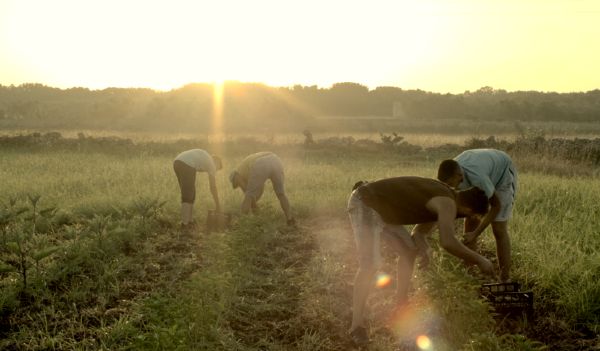 Couverture du film La Restanza