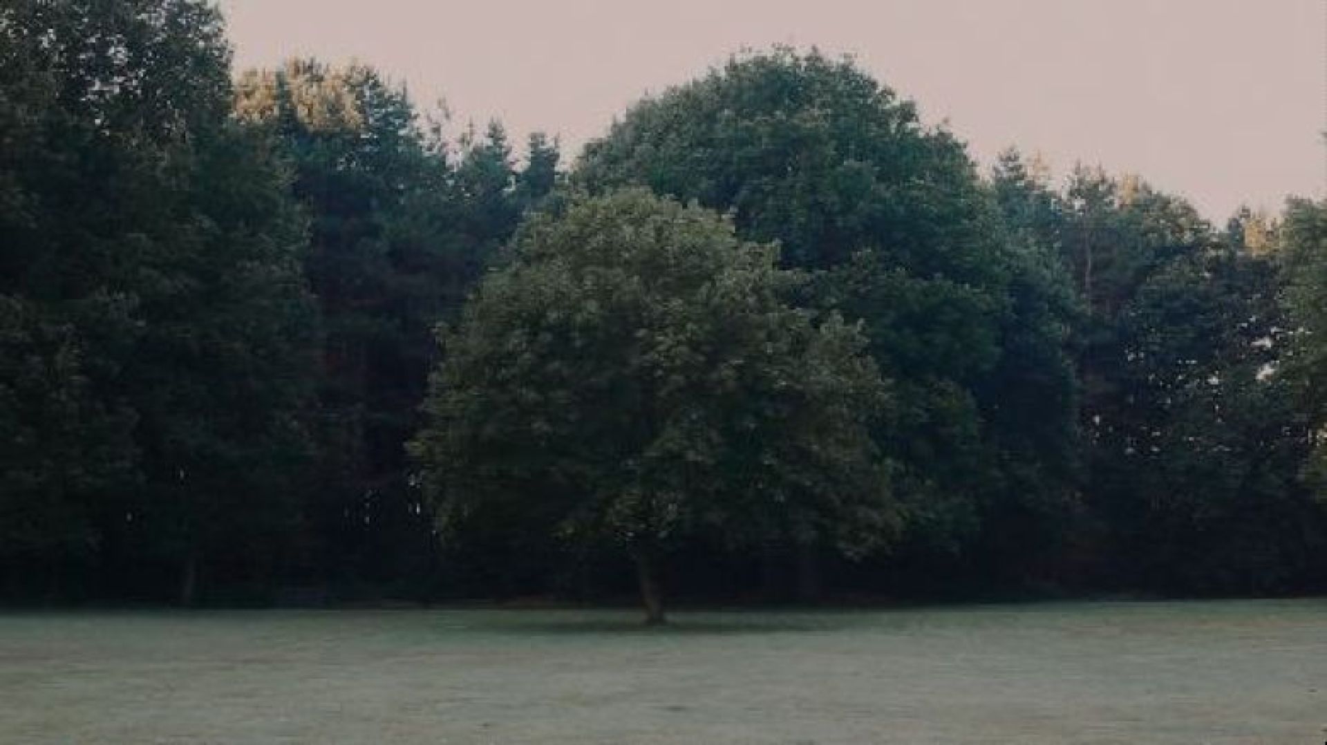 Couverture du film Roosenberg