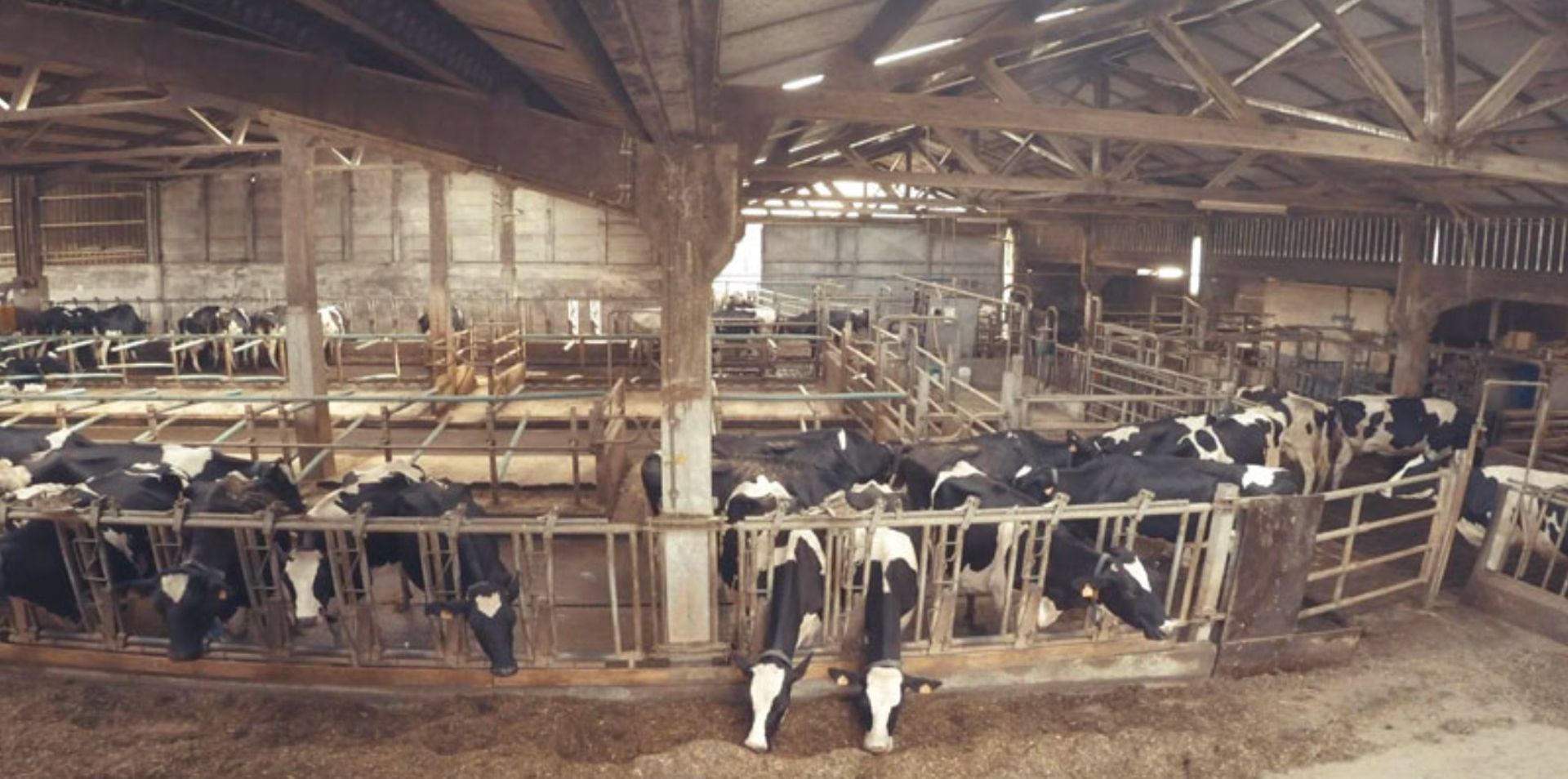 Couverture du film Routines