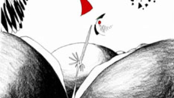 Couverture du film Schnabel Kabaal