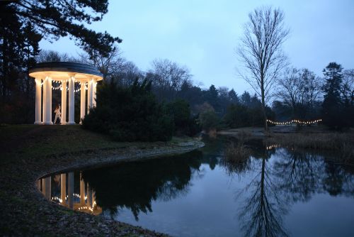 Couverture du film Stagman