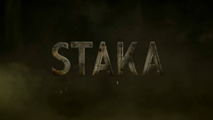 Couverture du film Staka