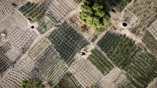 Couverture du film Sur le Champ !