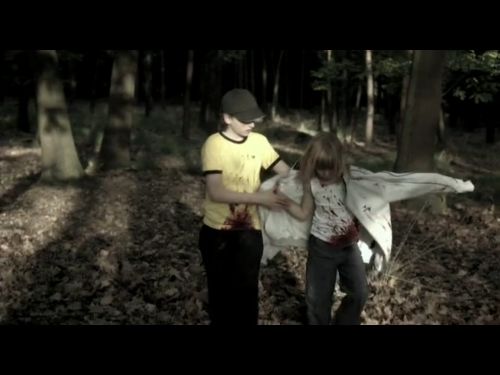 Couverture du film Taurus