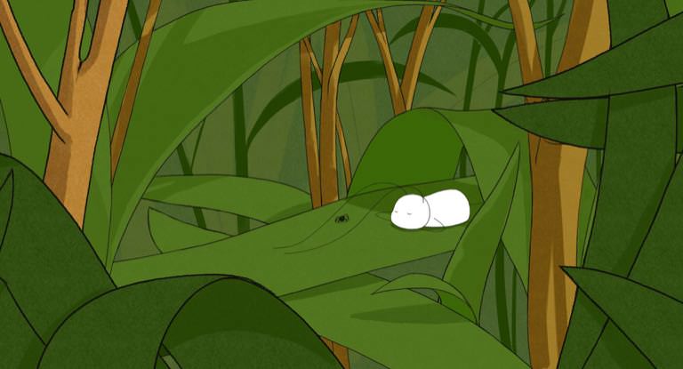 Couverture du film The Cockroach and the Sea