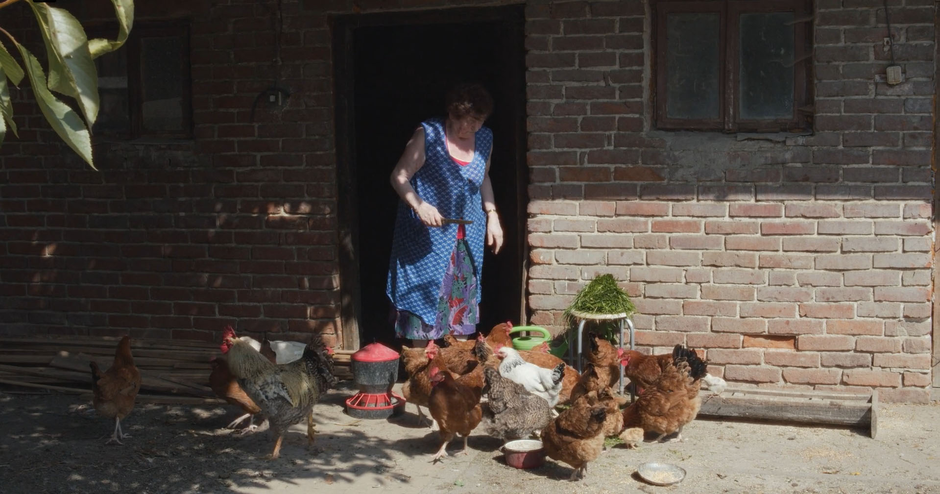 Couverture du film The Godmother