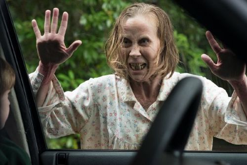 Couverture du film The Hole in the Ground