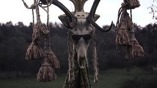 Couverture du film Totem - Stephane Manzone