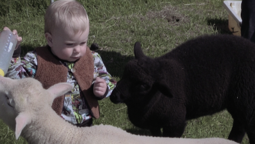 Couverture du film Une fille de Ouessant