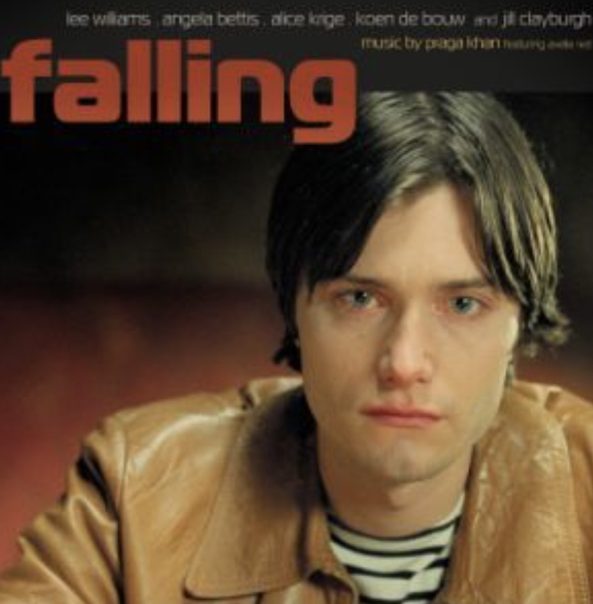 Couverture du film Vallen