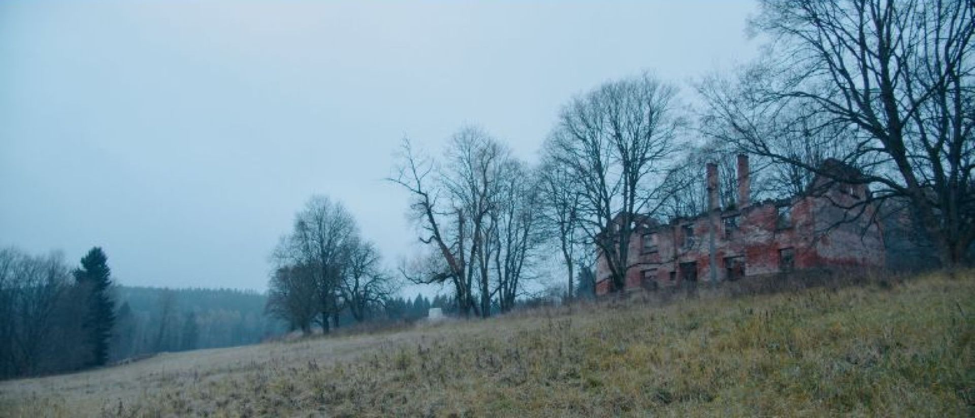 Couverture du film Vertige des plaines