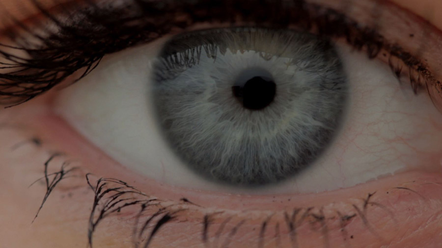 Couverture du film Vieux comme le monde