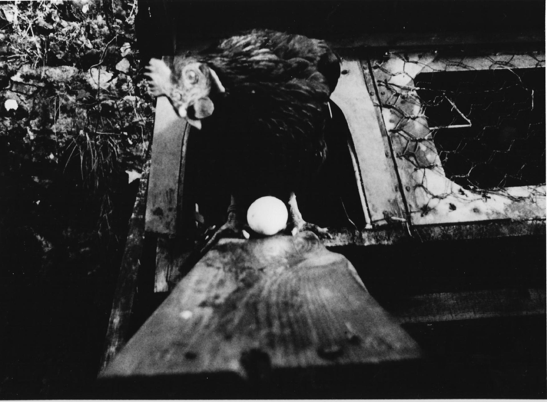 Couverture du film Vol-au-vent