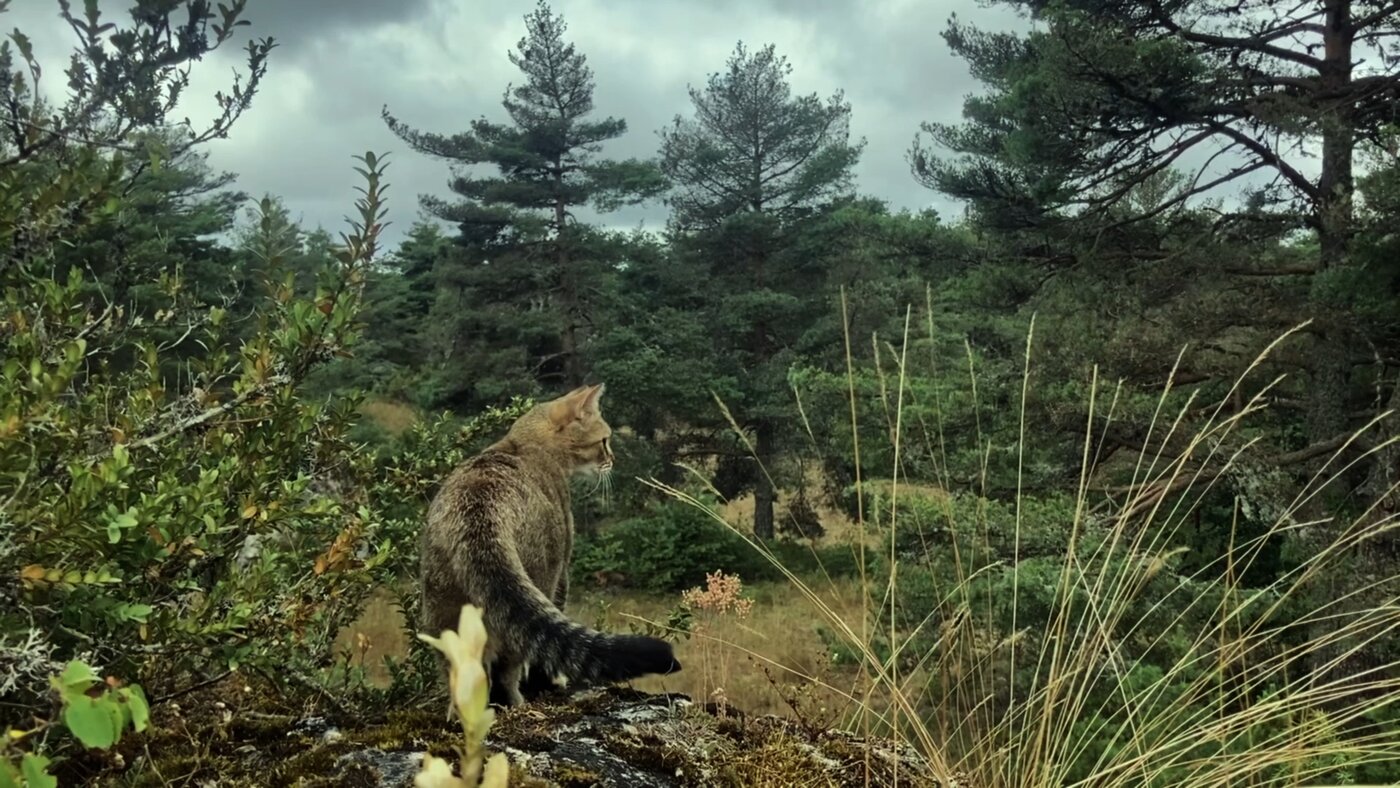 We had fun yesterday