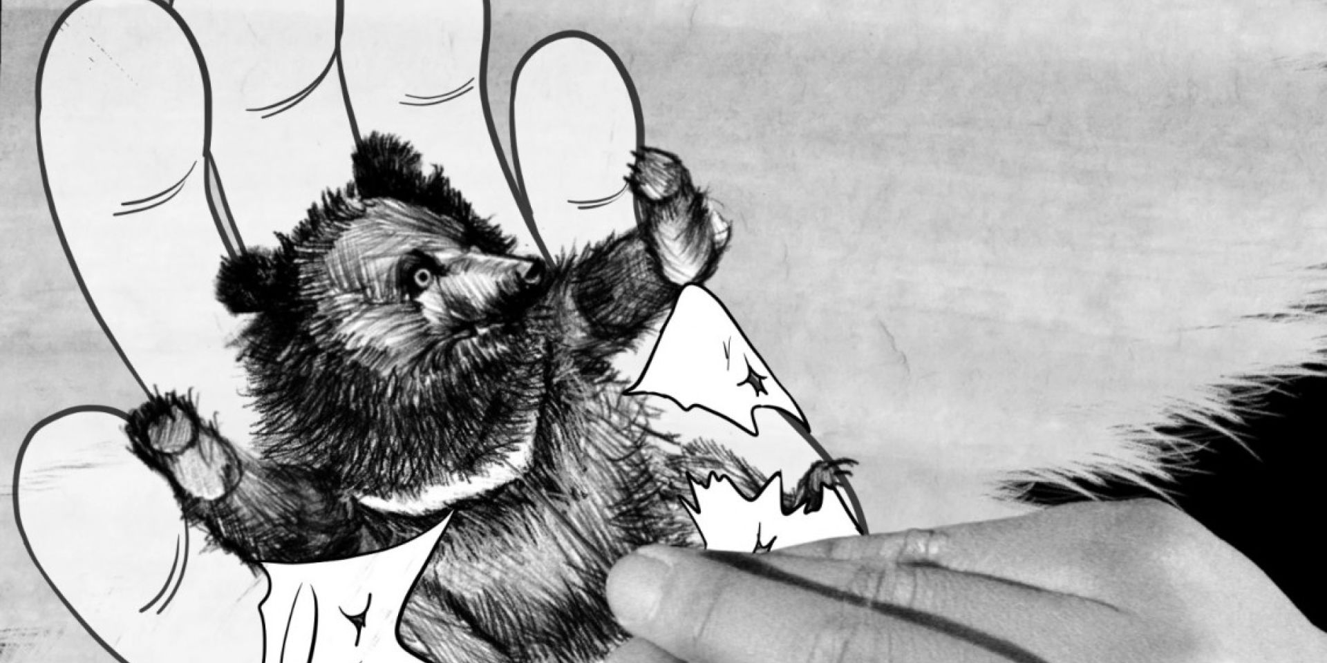 What Are You Looking At ?