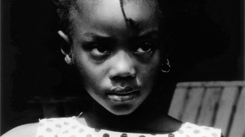 Couverture du film Wild Blue, notes à quelques voix