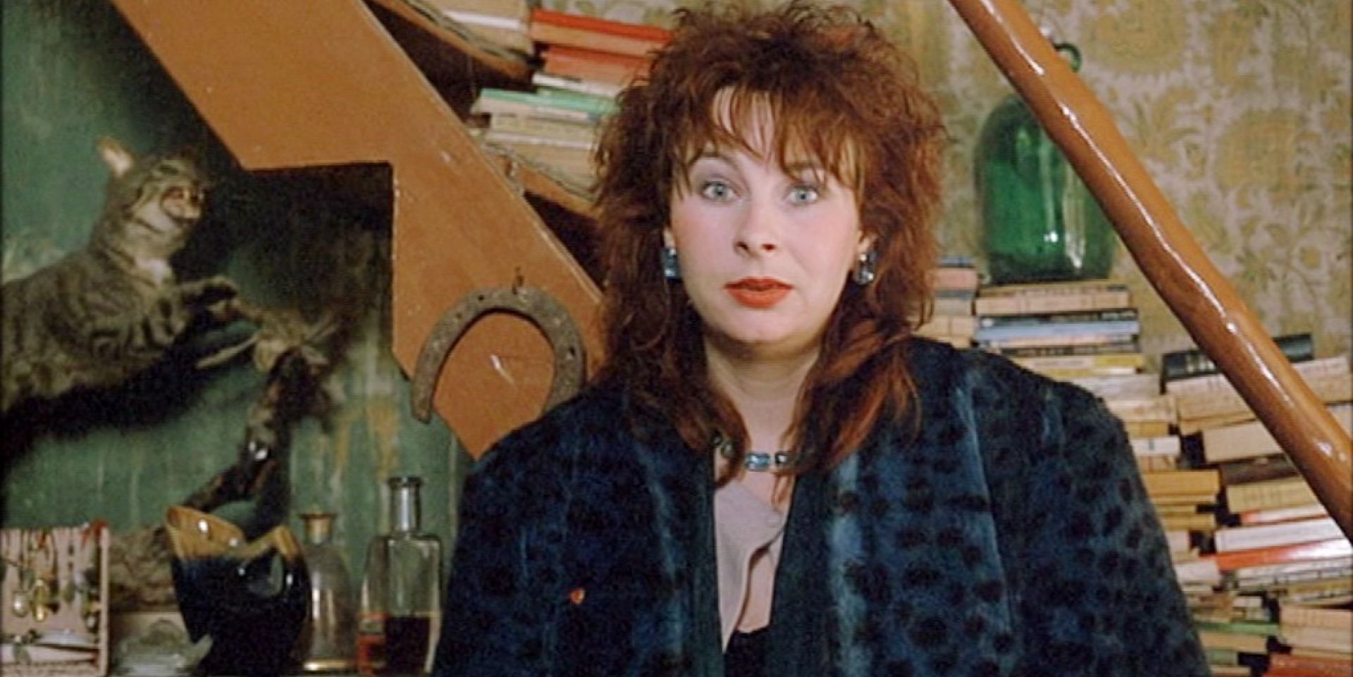 Couverture du film Yolande Moreau, les nuages et la terre