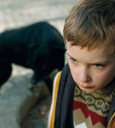 Couverture du film Zinneke