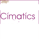 Photo Festival des Cultures Digitales